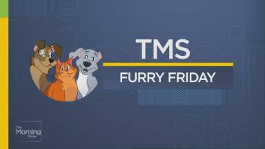 Click to play video 'Furry Friday: Featuring your cute pets from across the country!'